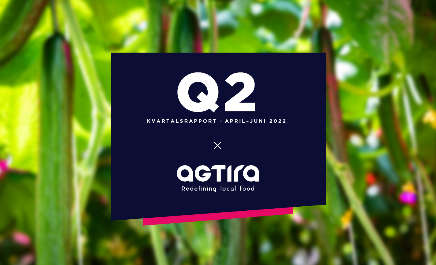 Agtira-q2-some2